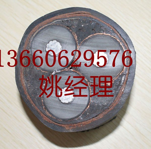 珠江冠纜電線電纜