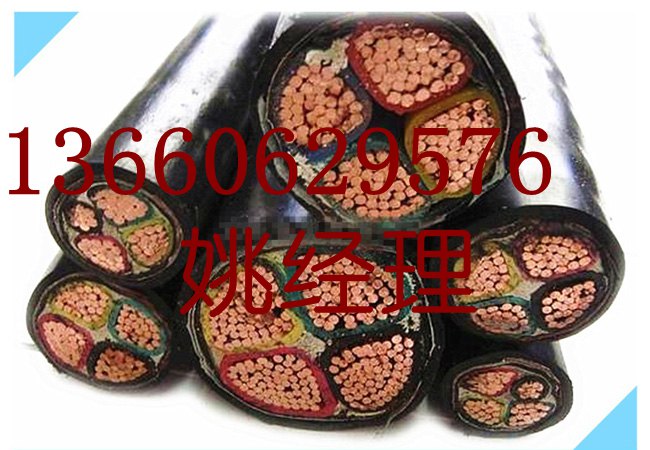 珠江冠纜電線電纜