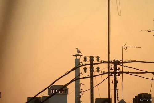 控制二次回路接線應符合哪些要求?